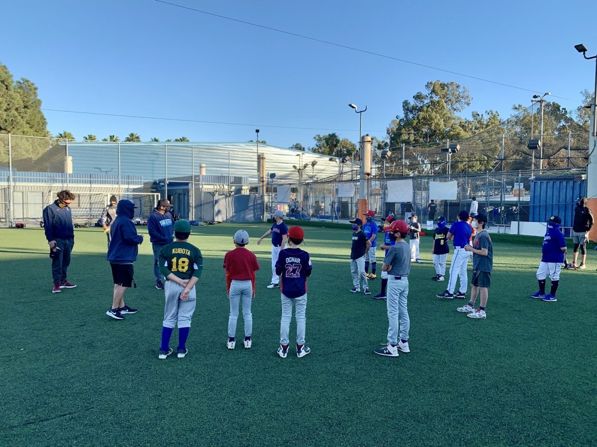 310 BASEBALL Winter Training Camp