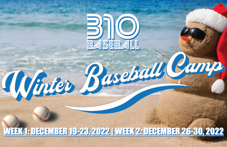 310 BASEBALL Winter Camp 2022